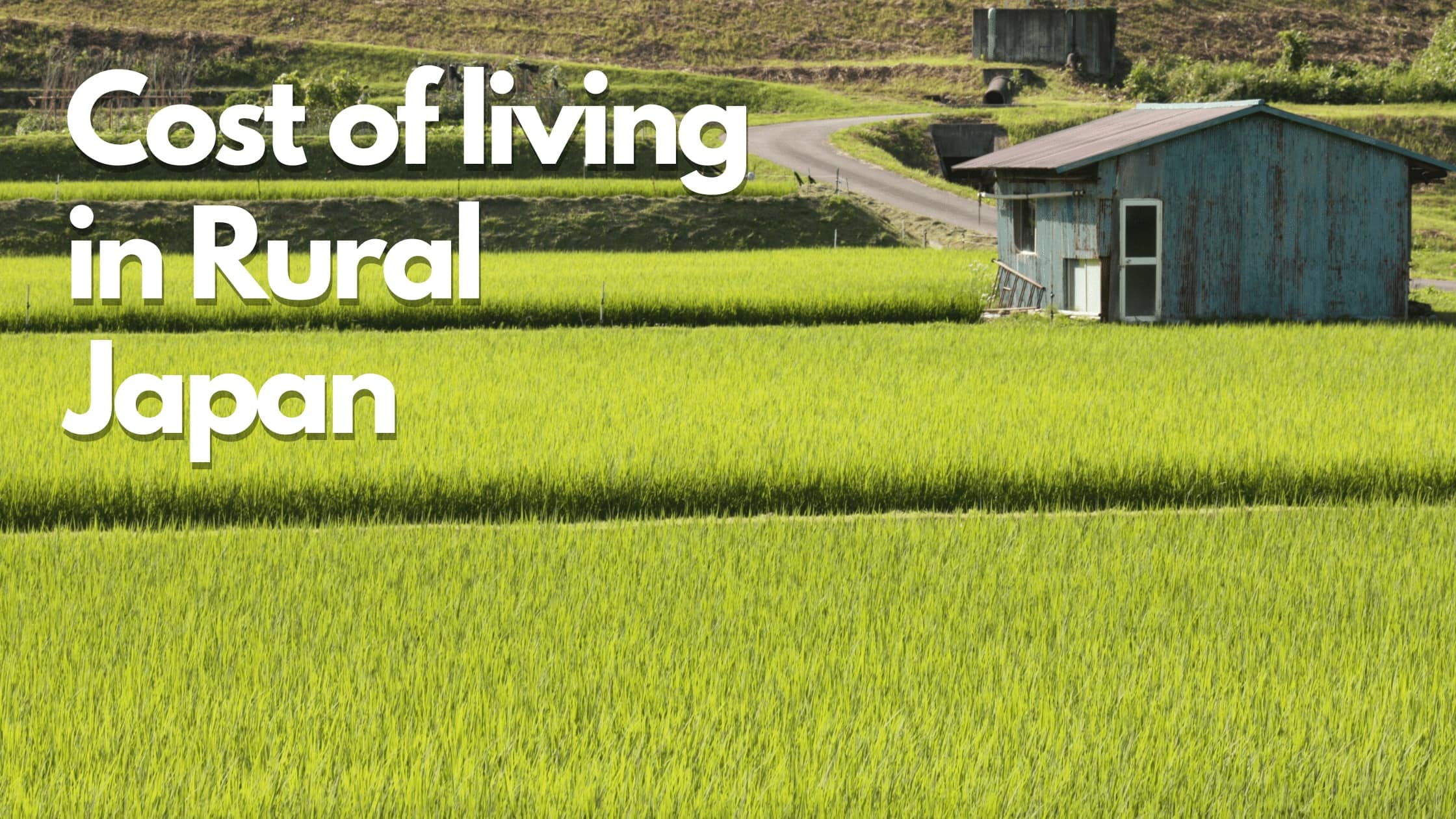 Cost of living in rural Japan.