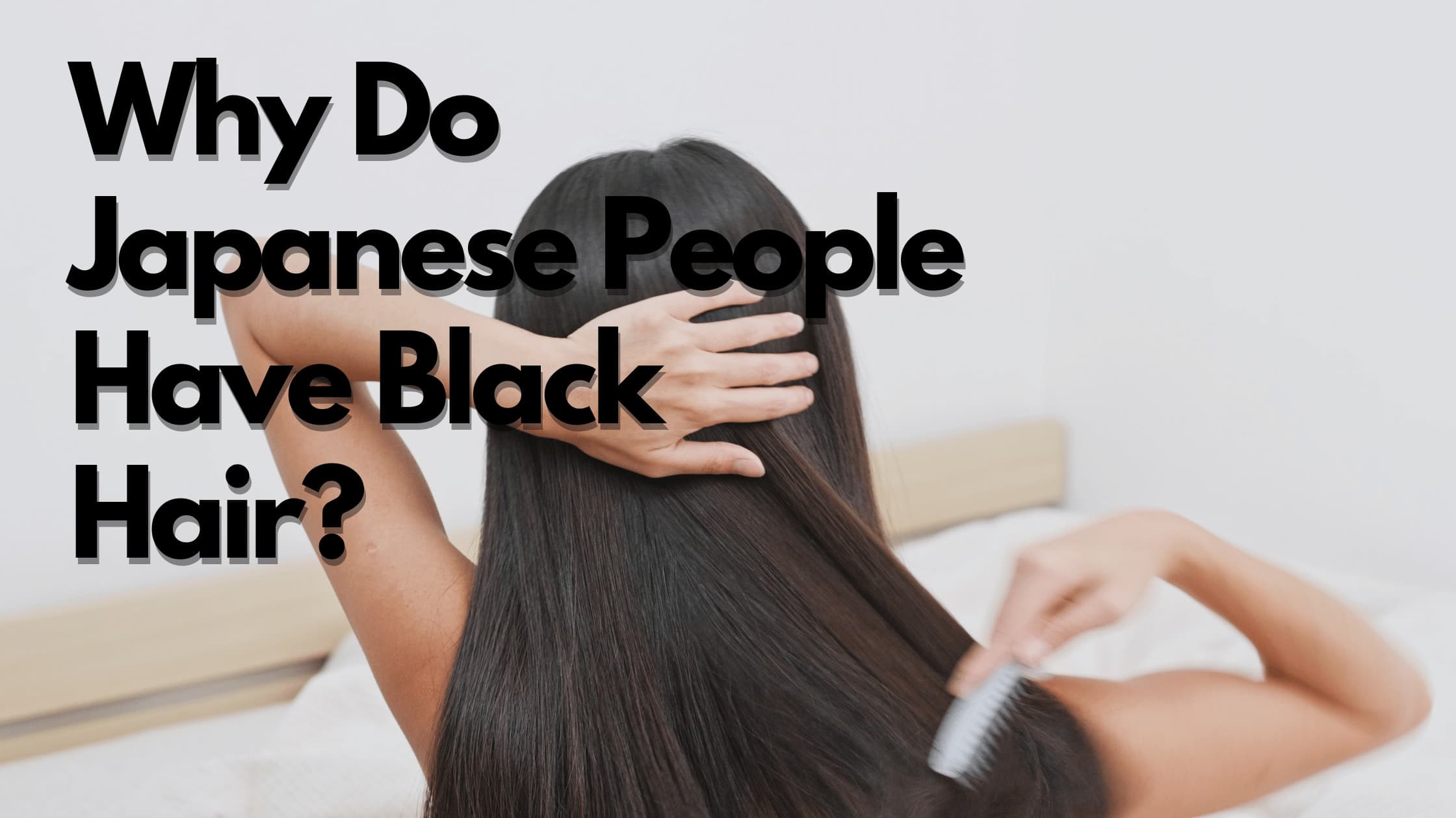Why do Japanese individuals predominantly have black hair?