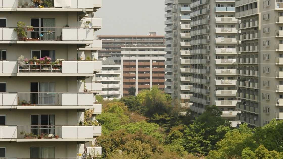 Urban landscape showcasing high-density residential buildings with balconies amidst greenery.