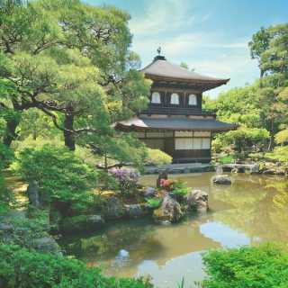 A traditional Japanese tea house surrounded by lush greenery, trees, and a pond under a clear blue sky.