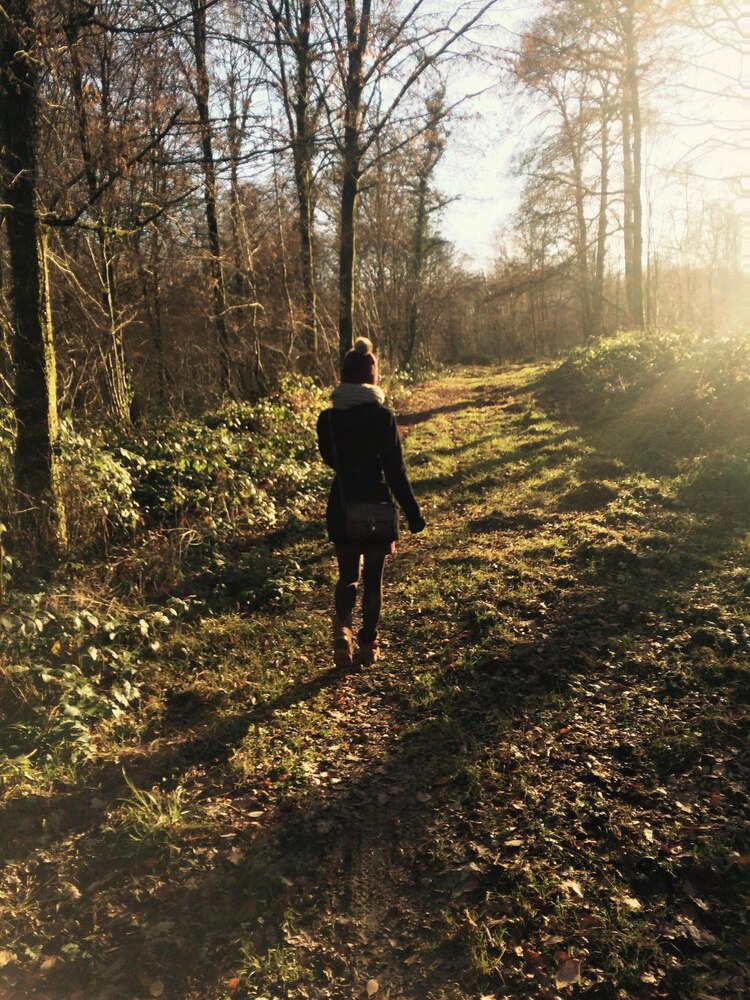 A person in outdoor clothing walks on a forest path, carrying a wicker basket with books titled "Nature" and "Wildlife Journal.