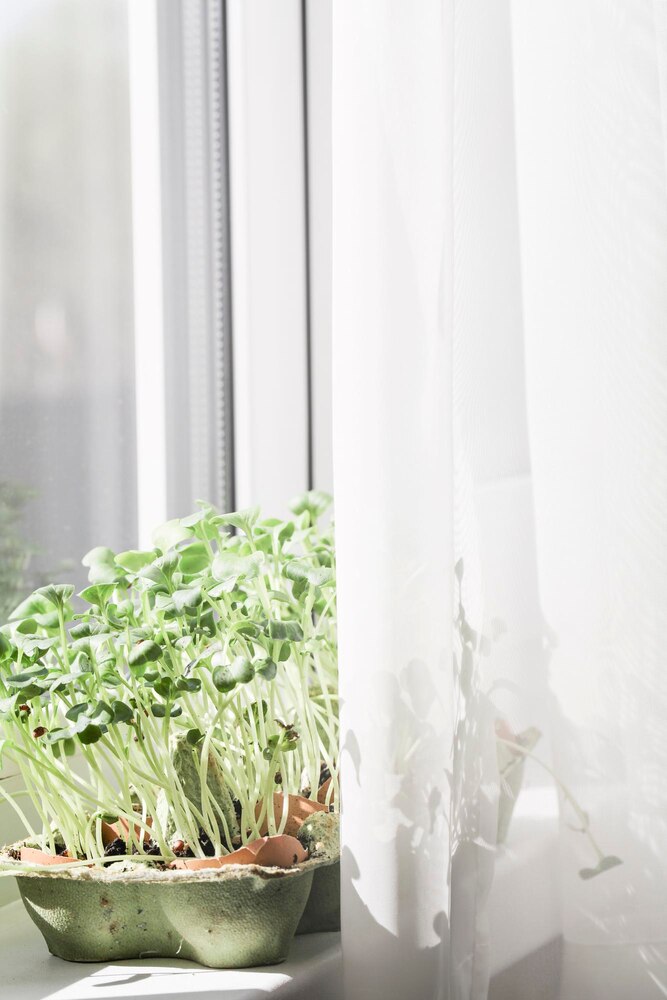 Add Greenery for a Breath of Fresh Air