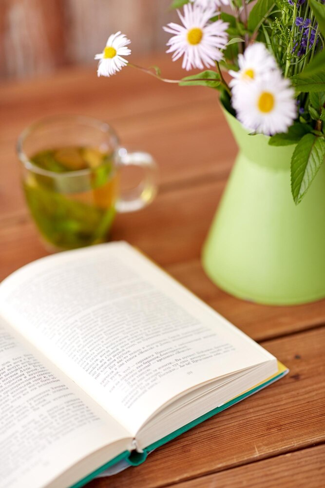 Ikigai Purpose Reflection Practice