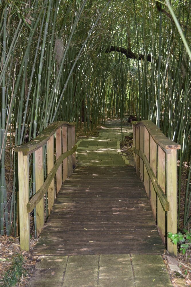 Omotenashi Wholehearted Hospitality Mindset